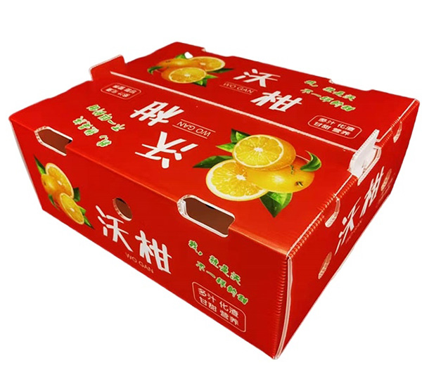苹果中空板周转箱